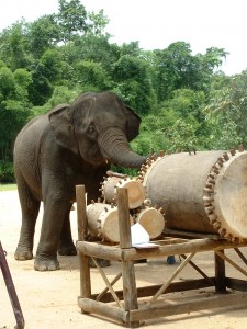 Image of Pratidah playing a drum by Millie Young